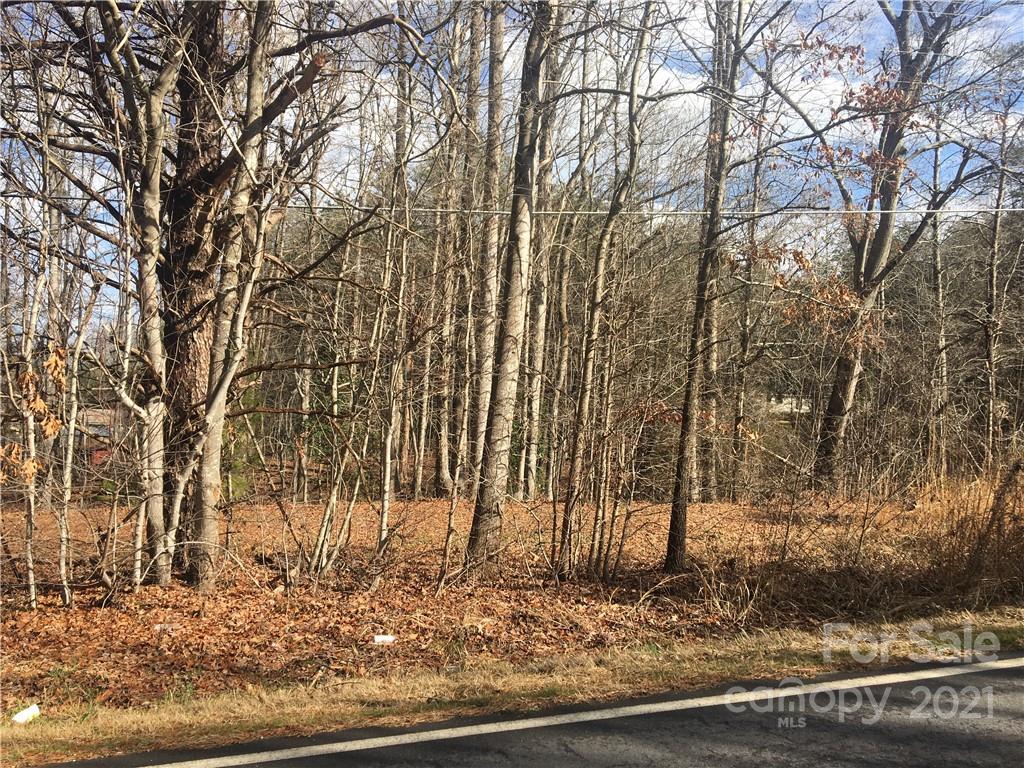 7250 Little Mountain Road Sherrills Ford, NC 28673 - Photo 14 of 16 a view of a backyard of the house