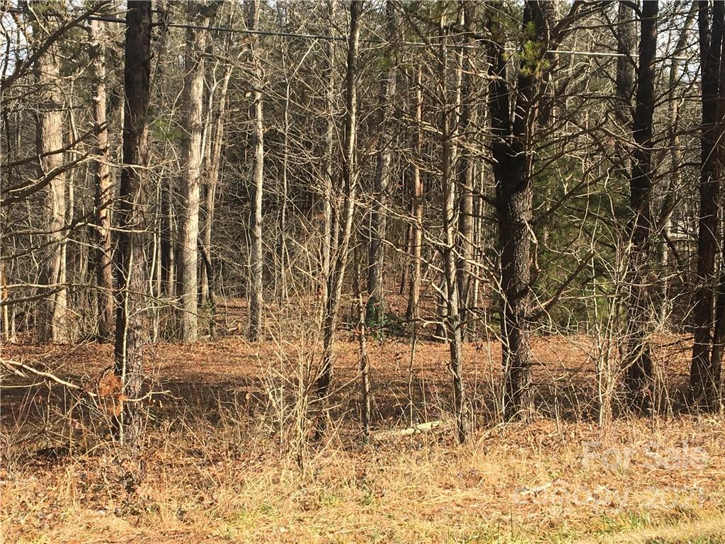 7250 Little Mountain Road Sherrills Ford, NC 28673 - Photo 15 of 16 a backyard of a house with lots of green space