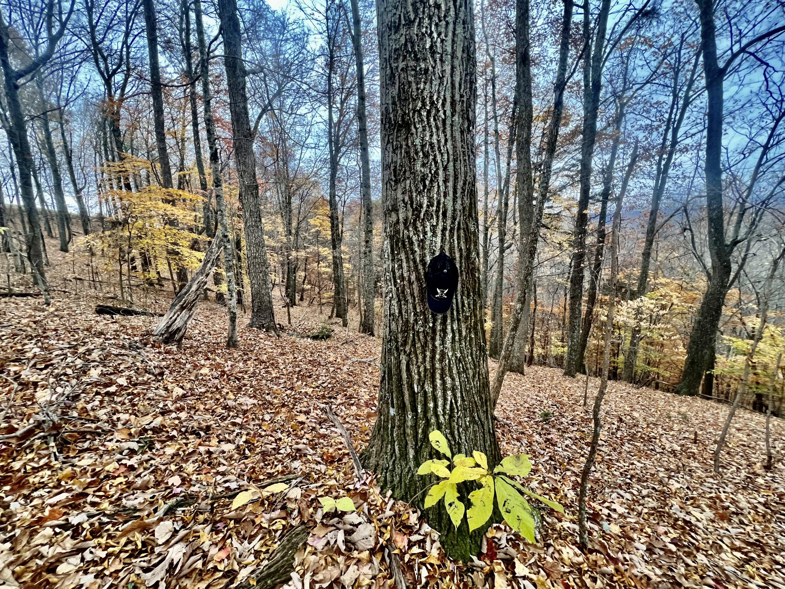 Off Off Poplar Grove Road Harrogate, TN 37752 - Photo 12 of 90 IMG_9726
