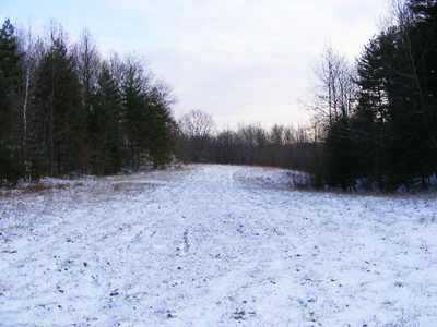 39486 Pageville Road Albany, OH 45710 - Photo 6 of 10