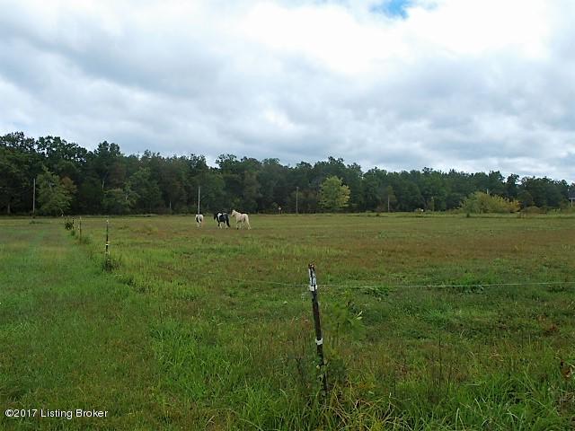 3040 Beech Grv Road Shepherdsville, KY 40165 - Photo 36 of 41 P9114212