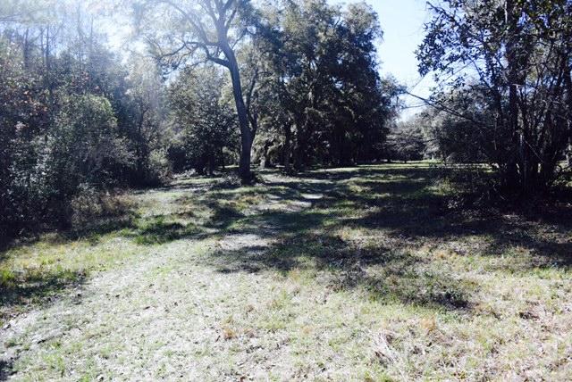 1963 Liberia Road Wadmalaw Island, SC 29487 - Photo 1 of 5 FullSizeRender(6)