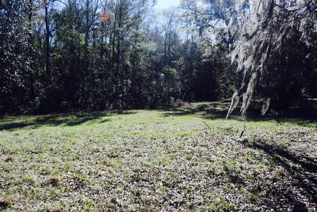 1963 Liberia Road Wadmalaw Island, SC 29487 - Photo 2 of 5 FullSizeRender(7)