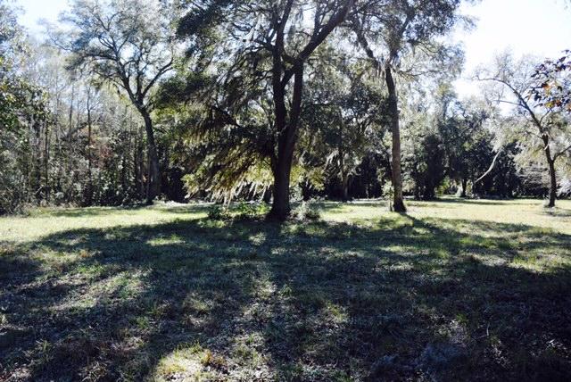 1963 Liberia Road Wadmalaw Island, SC 29487 - Photo 4 of 5 FullSizeRender(9)