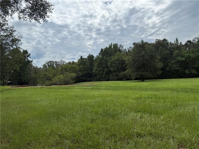 Tbd Smetak Road Deville, LA 71328 - Photo 1 of 10 Gallery Image 1