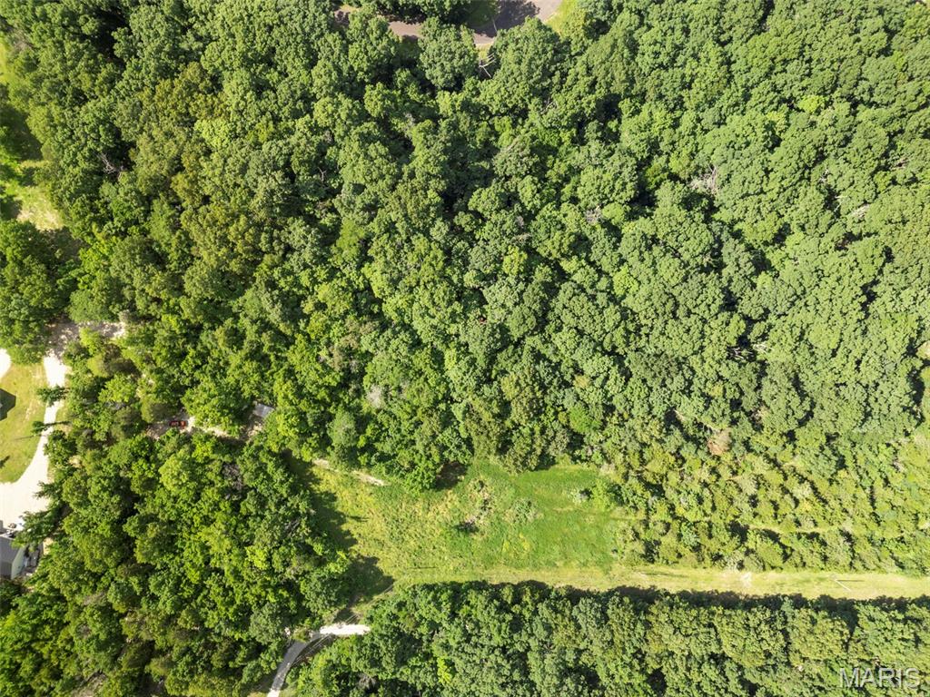 9-acres Timber Ridge Drive Marthasville, MO 63357 - Photo 20 of 22