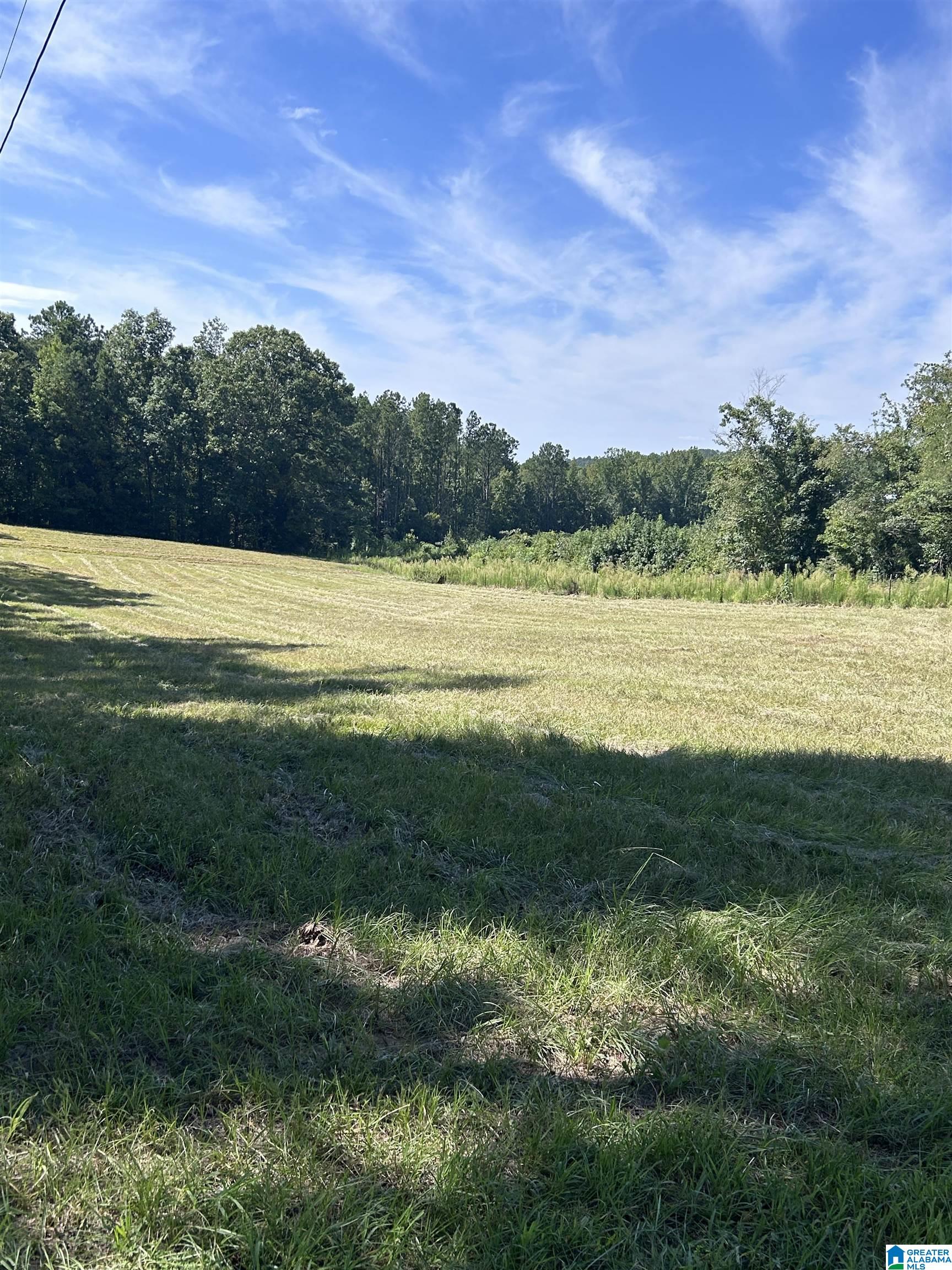 2359 Crystal Lake Road West Blocton, AL 35184 - Photo 23 of 37