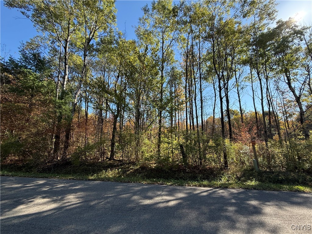 Shoemaker Road Van Etten, NY 14889 - Photo 11 of 13