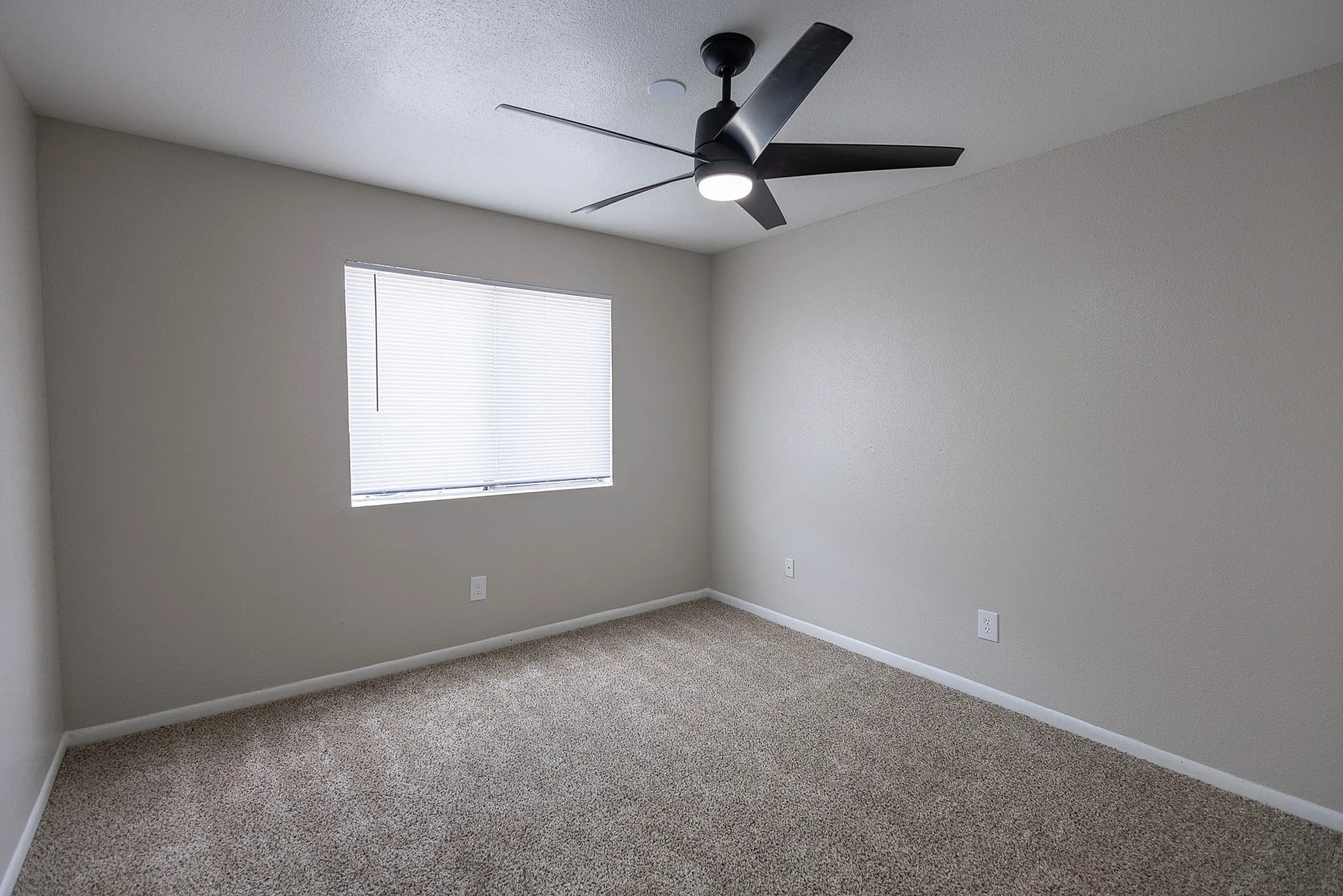 15100 Golden Eagle Drive, Unit 1309 Humble, TX 77396 - Photo 20 of 22 an empty room with a window and a fan