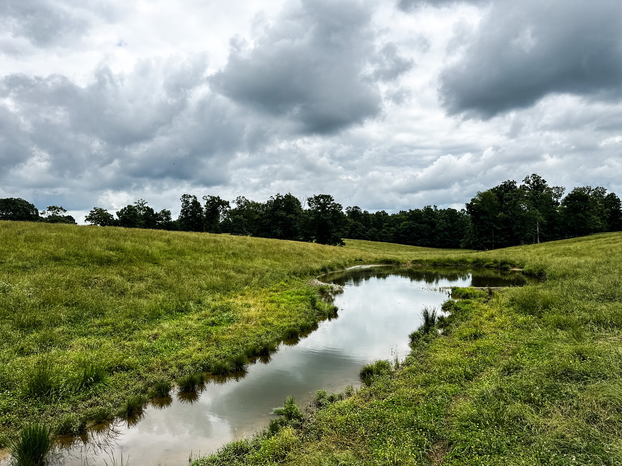 0 David Patterson Road Lutts, TN 38471 - Photo 22 of 58