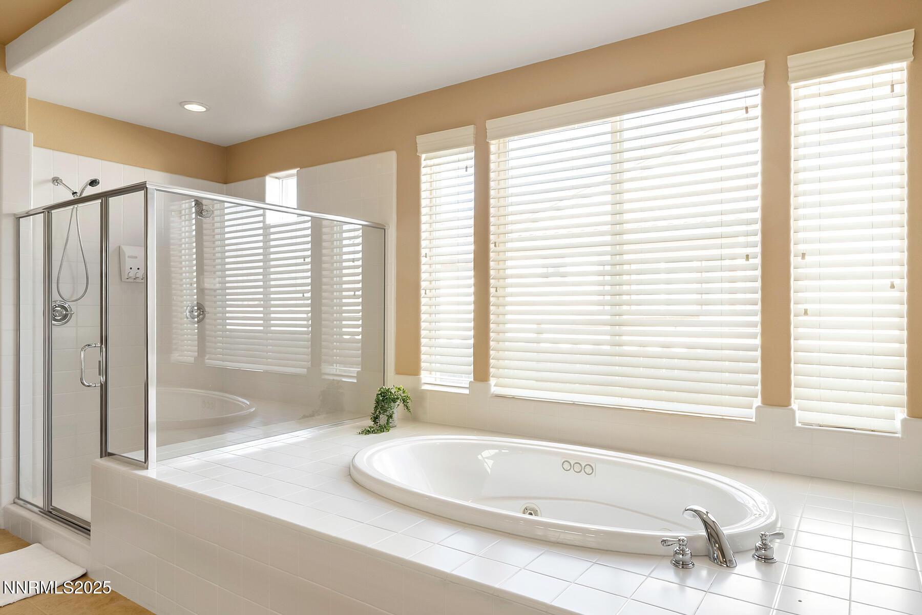 9950 Burghley Lane Reno, NV 89521 - Photo 37 of 75 DSC09886 copy-Edit