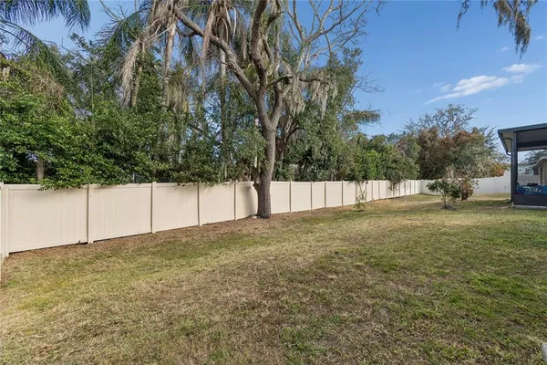 a view of a yard