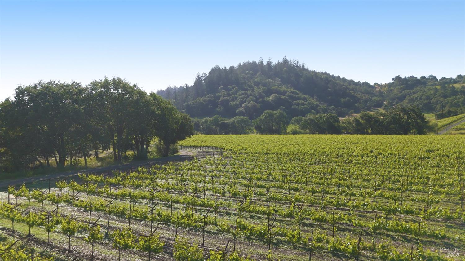 1300 Yount Mill Road Napa, CA 94558 - Photo 7 of 12