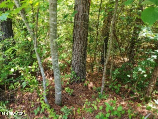 674 Rhodas Way Sunbright, TN 37872 - Photo 24 of 37 20260629_124538
