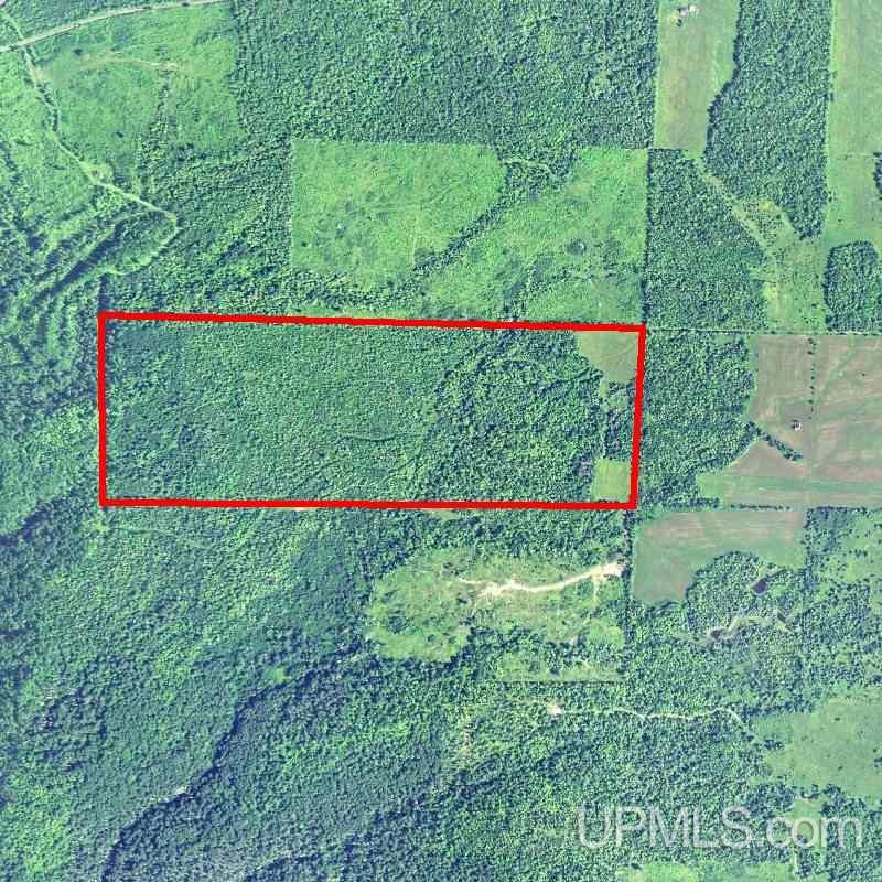 Tbd Juno Road Mass City, MI 49948 - Photo 28 of 29