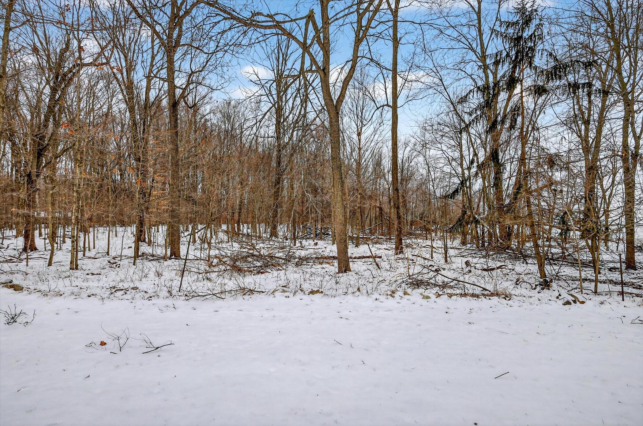 1500 East Frost Road Williamston, MI 48895 - Photo 36 of 40 47