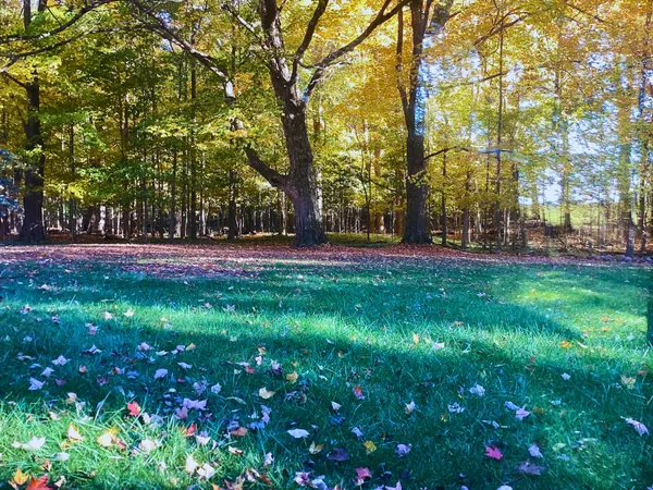 $280,000 | 1500 East Frost Road, Williamston, MI 48895