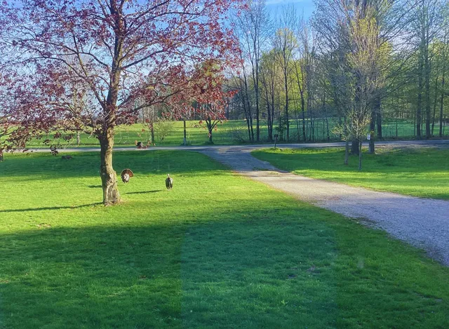 $300,000 | 1500 East Frost Road, Williamston, MI 48895