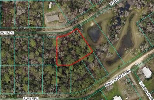 Tbd Southwest 16th Place Ocala, FL 34481 - Photo 4 of 4