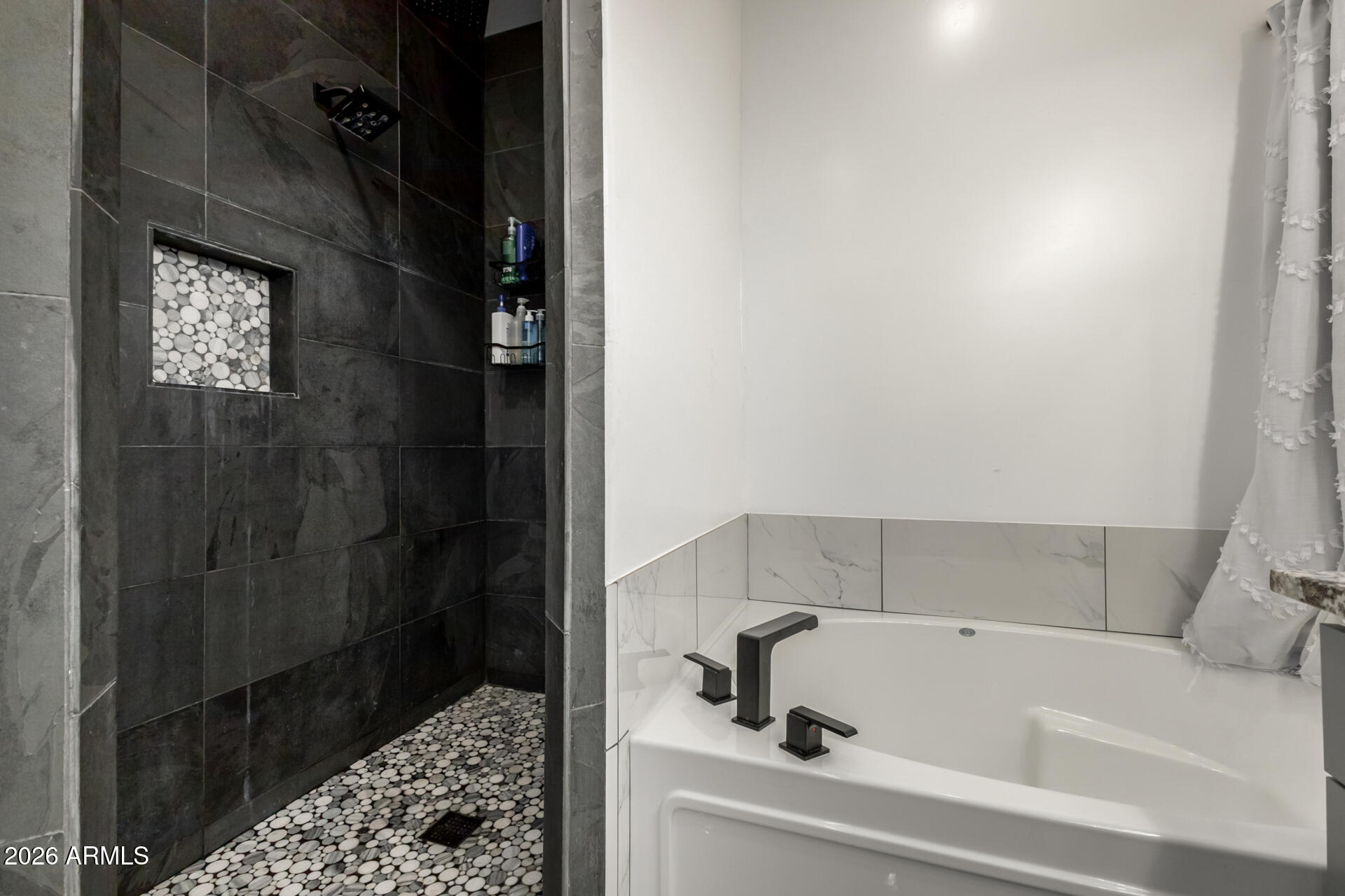 1427 East Whiteley Street Apache Junction, AZ 85119 - Photo 25 of 59 a bathroom with a bathtub
