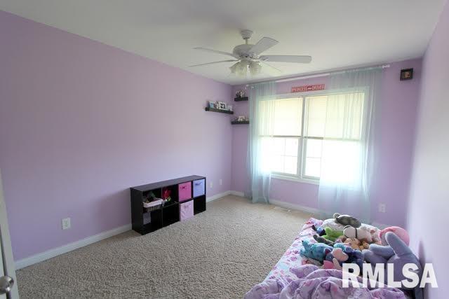 427 Macey Lake Road Metamora, IL 61548 - Photo 14 of 26