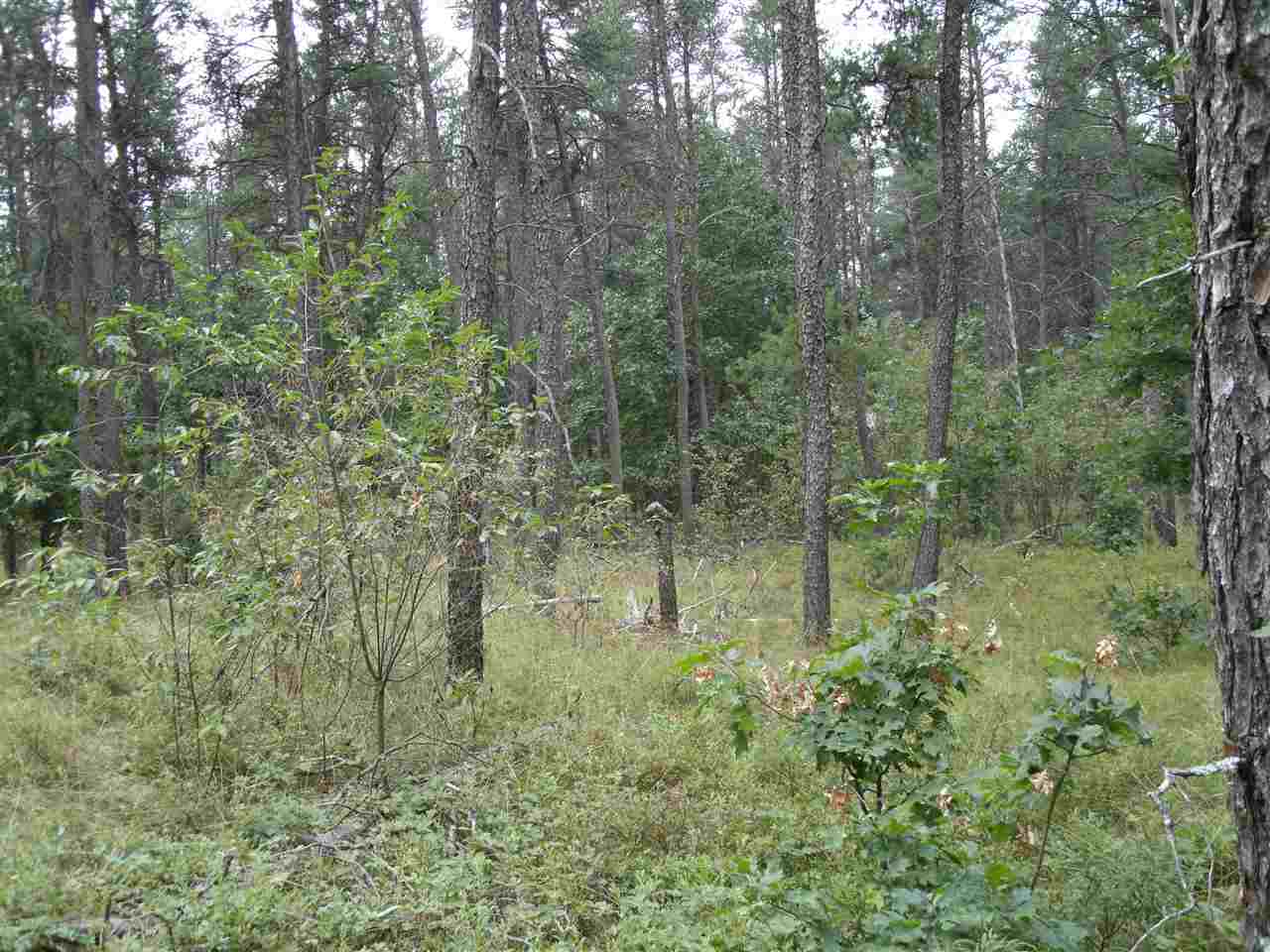 9 Mile Road Free Soil, MI 49411 - Photo 3 of 4