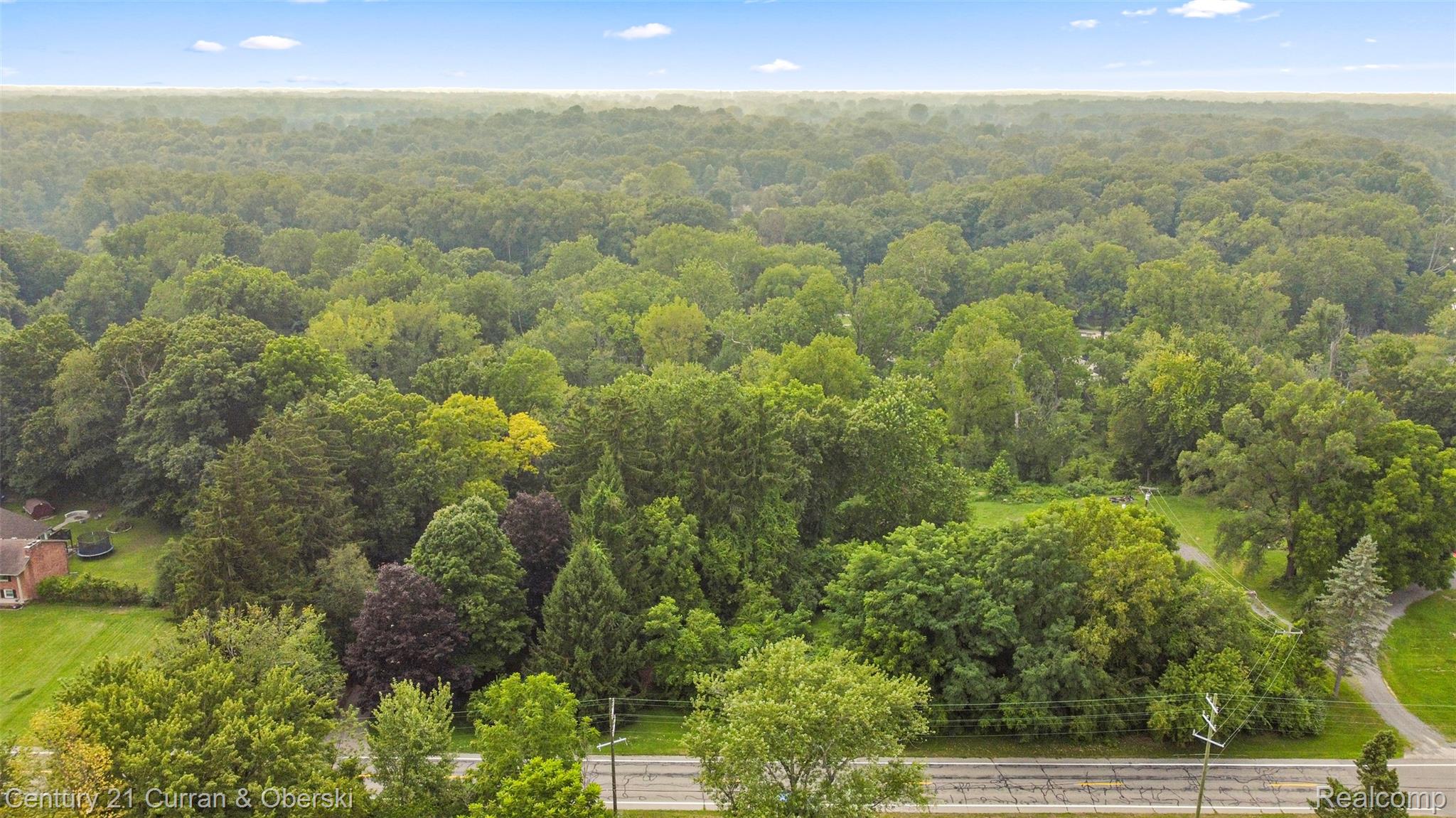 0 Hannan Road Romulus, MI 48174 - Photo 2 of 11 01.jpg