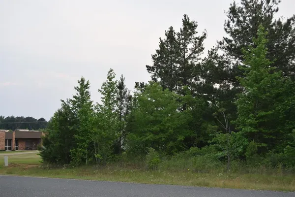 a view of a lake with a tree