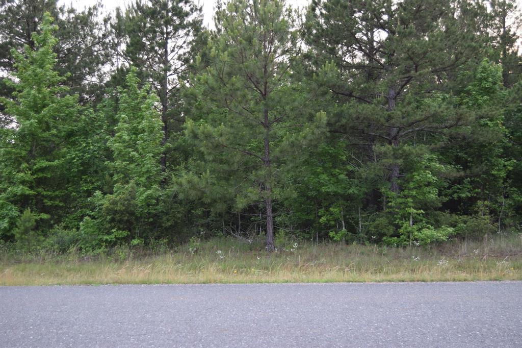 1 Ryan's Way Minden, LA 71055 - Photo 4 of 6