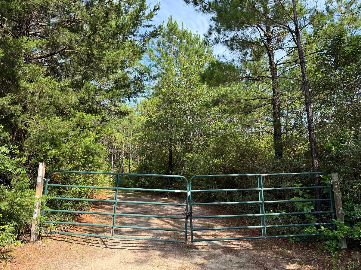 1 South Caney Road Groveton, TX 75845 - Photo 18 of 24