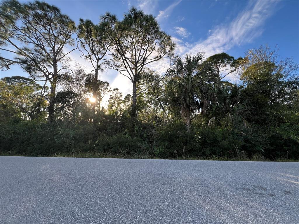 11197 Pinetrail Road Punta Gorda, FL 33955 - Photo 2 of 14 a view of a forest