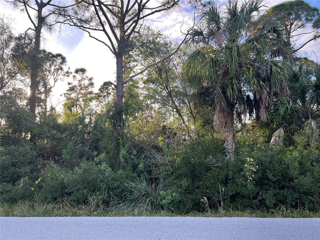 11197 Pinetrail Road Punta Gorda, FL 33955 - Photo 3 of 14 a view of a yard