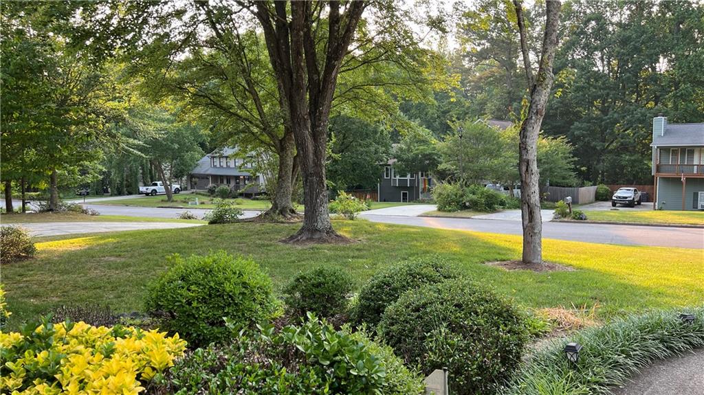 995 Old Spring Way Northeast Sugar Hill, GA 30518 - Photo 5 of 36 a view of yard with tree