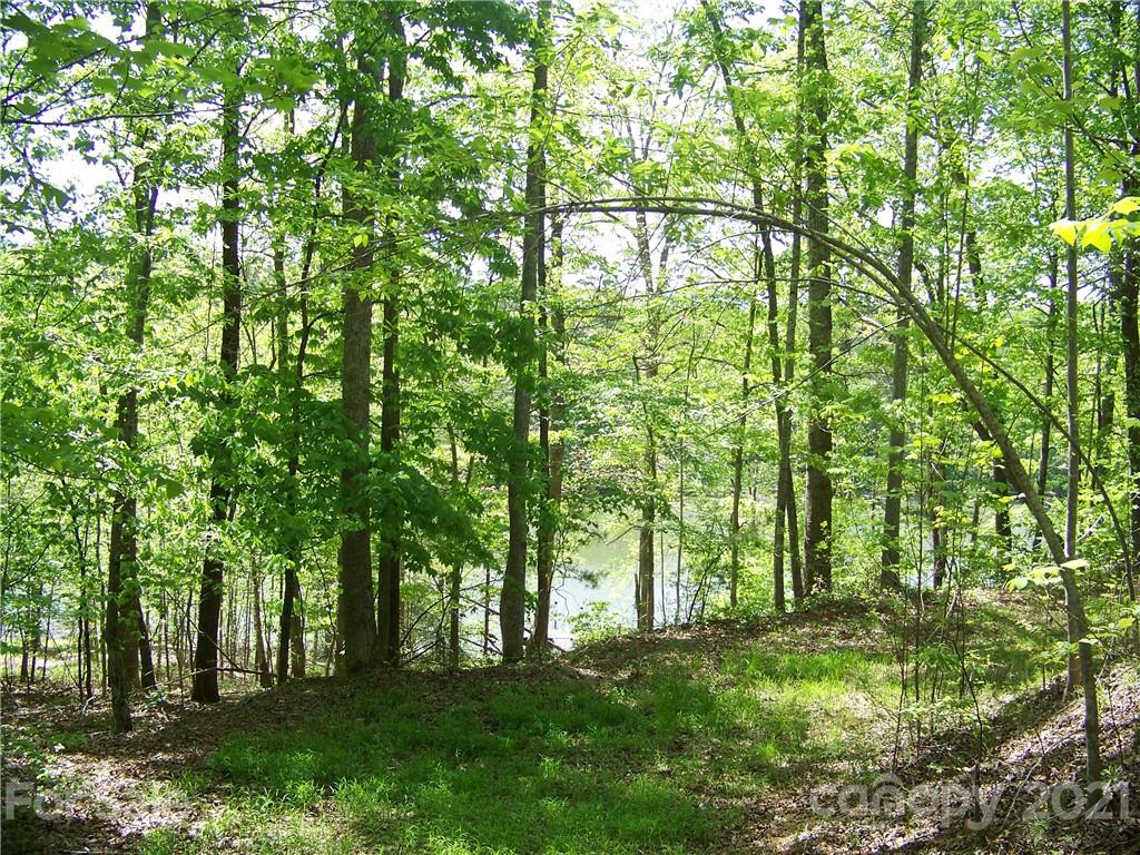 8 Parkway North Rd Mill Spring, Unit 8 Mill Spring, NC 28756 - Photo 2 of 16 a backyard of a house with lots of green space and forest view