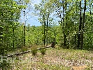 8 Parkway North Rd Mill Spring, Unit 8 Mill Spring, NC 28756 - Photo 11 of 16 a view of outdoor space and trees all around