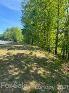 8 Parkway North Rd Mill Spring, Unit 8 Mill Spring, NC 28756 - Photo 12 of 16 a view of a large yard with lots of green space
