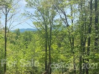 8 Parkway North Rd Mill Spring, Unit 8 Mill Spring, NC 28756 - Photo 13 of 16 a view of a trees