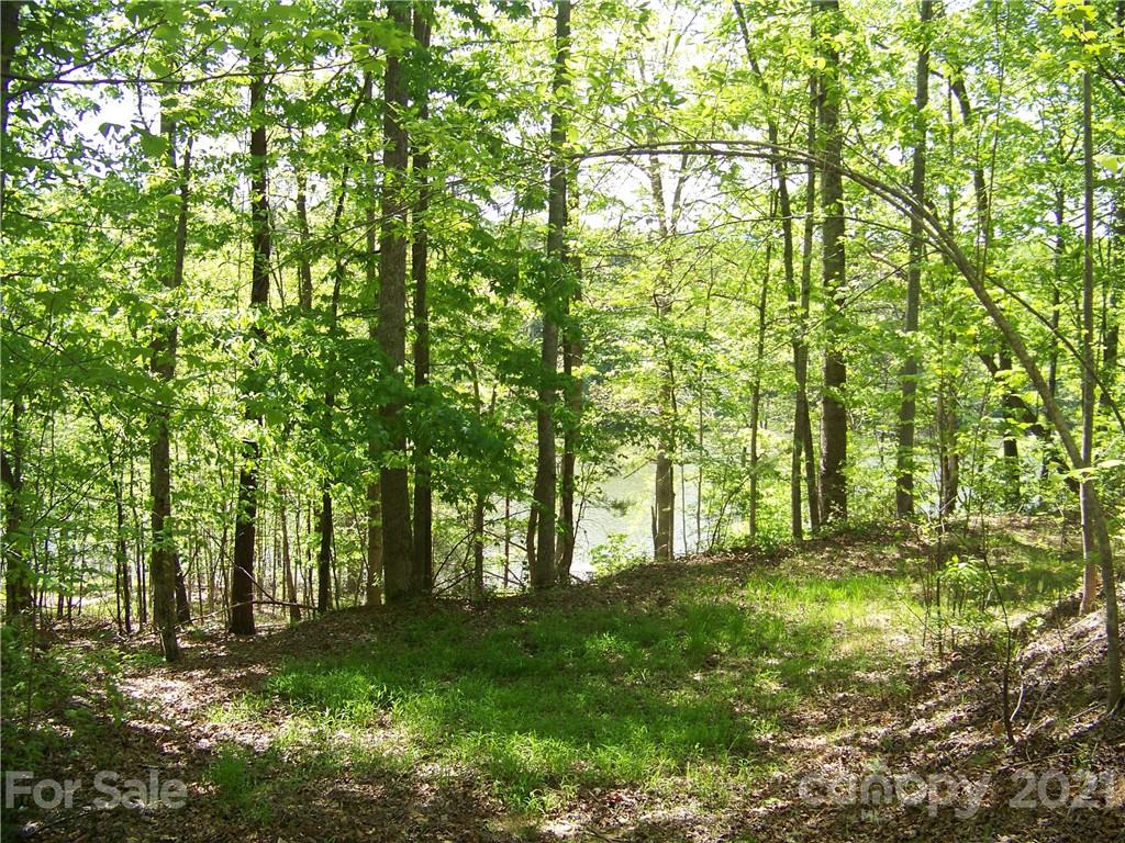 8 Parkway North Rd Mill Spring, Unit 8 Mill Spring, NC 28756 - Photo 15 of 16 a view of lush green forest