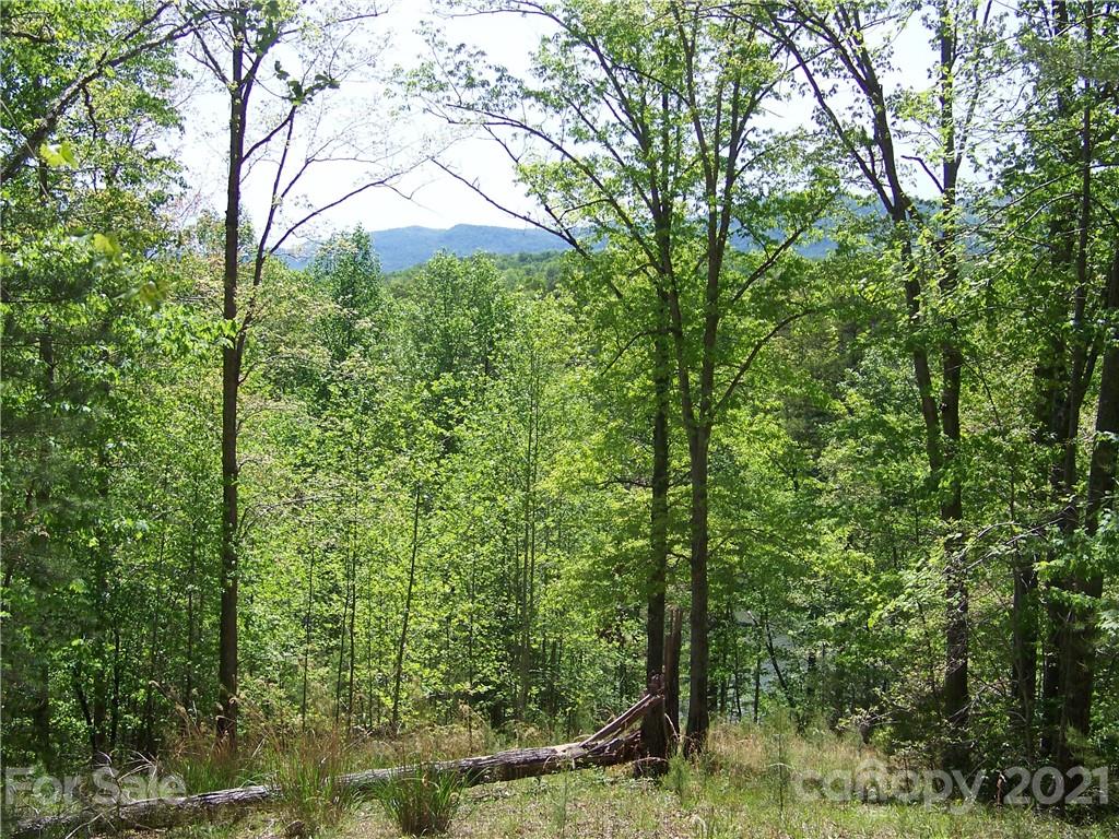 8 Parkway North Rd Mill Spring, Unit 8 Mill Spring, NC 28756 - Photo 3 of 16 a backyard of a house with lots of green space