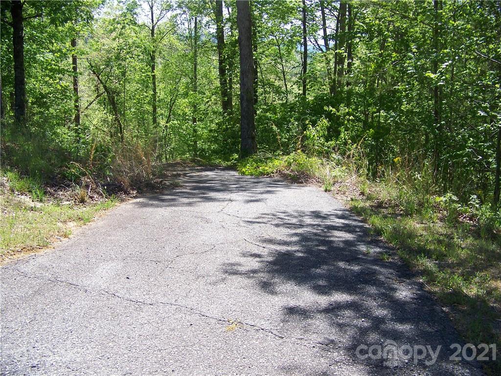 8 Parkway North Rd Mill Spring, Unit 8 Mill Spring, NC 28756 - Photo 4 of 16 a view of a dirt road with trees in the background