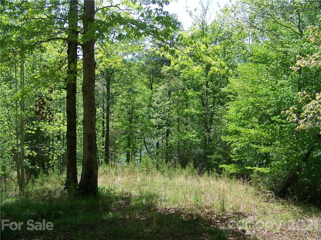 8 Parkway North Rd Mill Spring, Unit 8 Mill Spring, NC 28756 - Photo 5 of 16