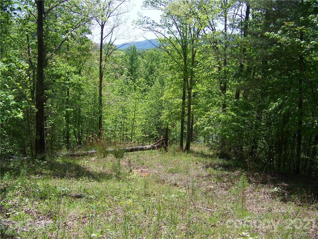 8 Parkway North Rd Mill Spring, Unit 8 Mill Spring, NC 28756 - Photo 6 of 16 a big yard with lots of green space and trees