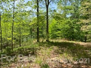 8 Parkway North Rd Mill Spring, Unit 8 Mill Spring, NC 28756 - Photo 9 of 16 a view of forest