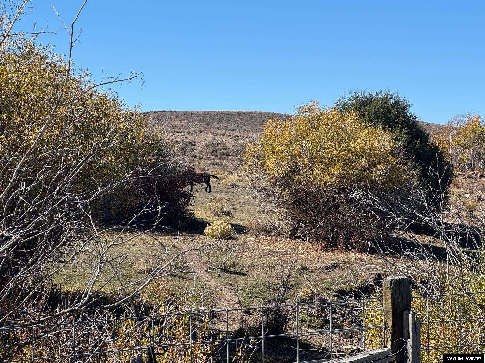 2734 County Road 279 Robertson, WY 82944 - Photo 6 of 19