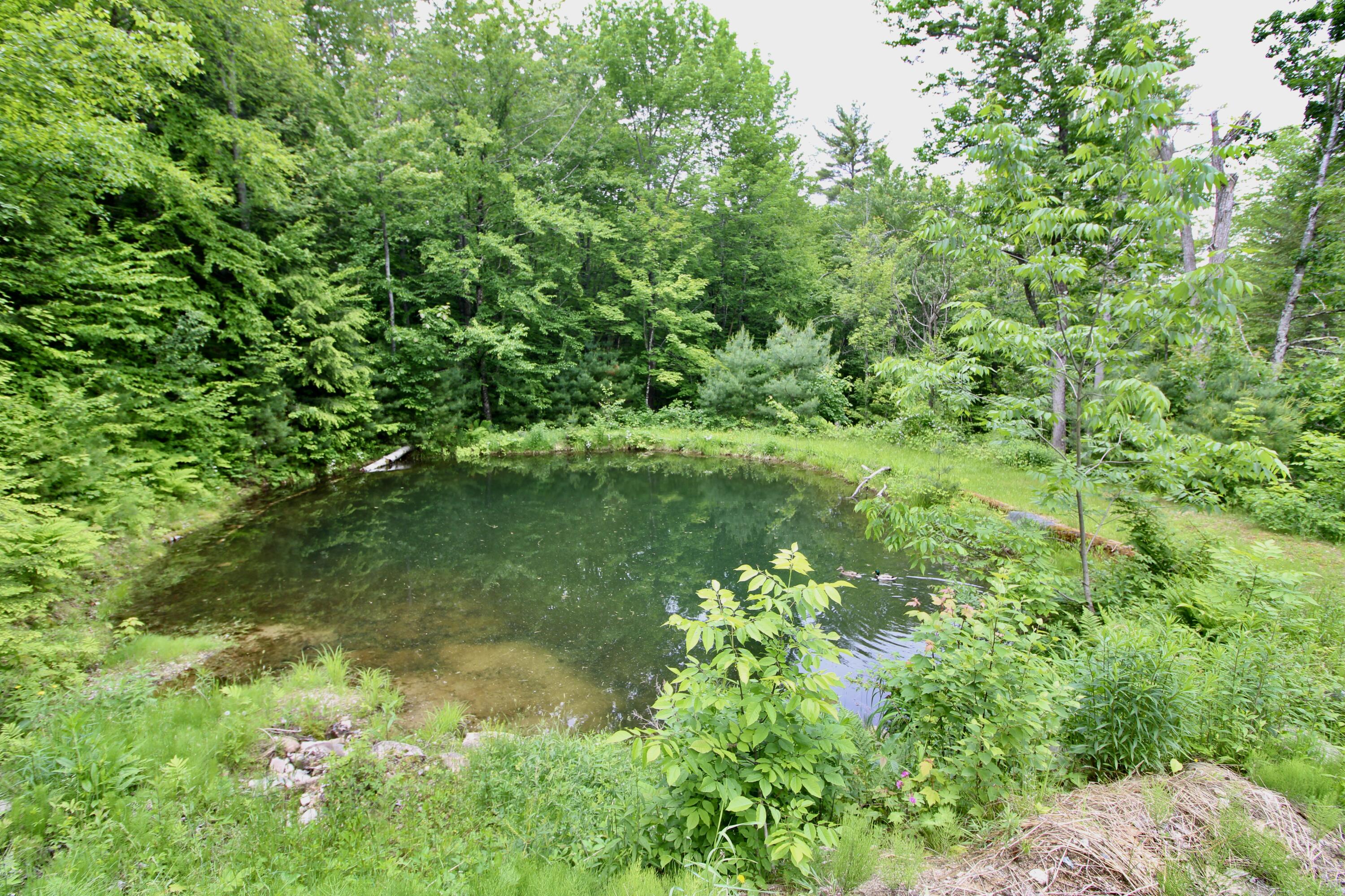 249 Denmark Road Denmark, ME 04022 - Photo 14 of 29 pond