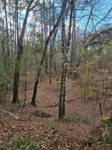 a backyard of a house with lots of green space
