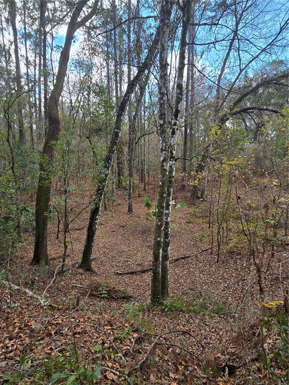 25344 Croom Road Brooksville, FL 34601 - Photo 34 of 35