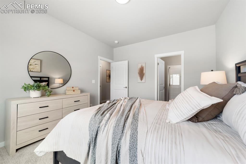 5153 Palomino Ranch Point Colorado Springs, CO 80922 - Photo 4 of 16 Primary Bedroom