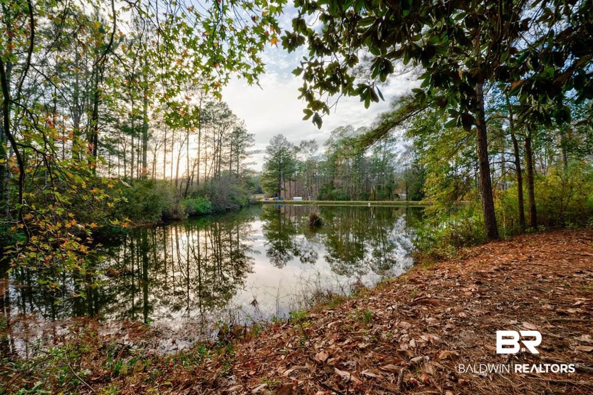 559 Buddy Lake Road Brewton, AL 36426 - Photo 20 of 32