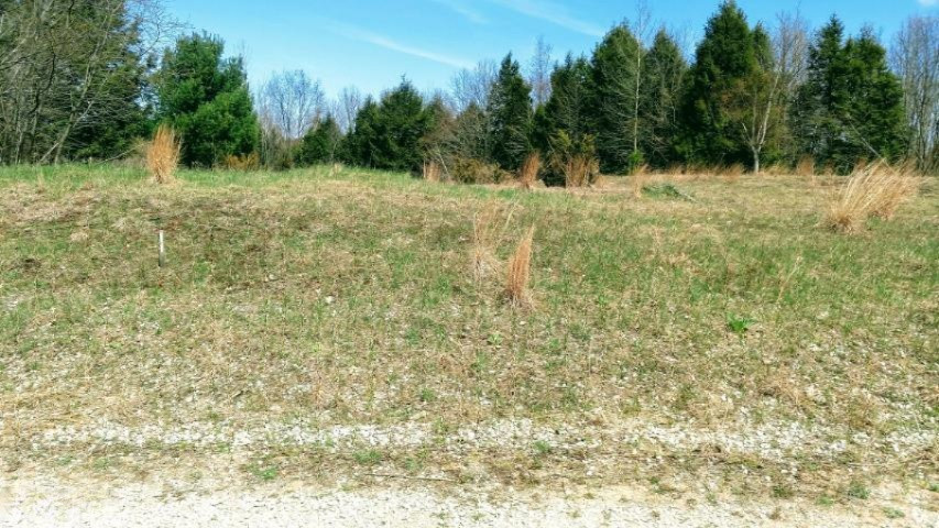2-acres Keillor Road Arcadia, MI 49613 - Photo 1 of 10